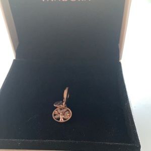Pandora charm
